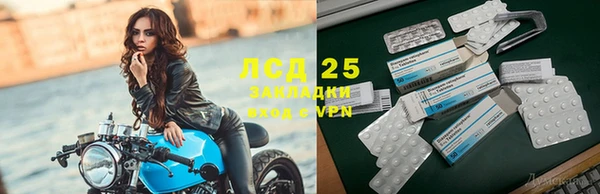 молекула духа Гусев