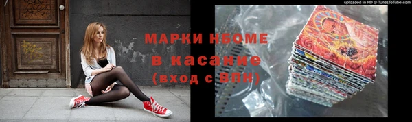 твердый Гусь-Хрустальный