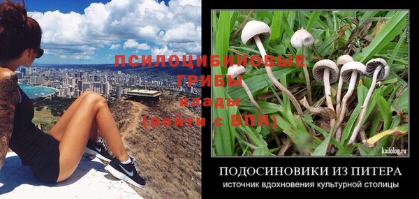 спайс Горняк