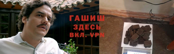молекула духа Гусев