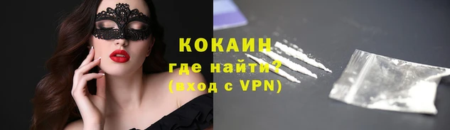 молекула духа Гусев