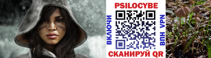 Псилоцибиновые грибы Cubensis  Купить  Короча 